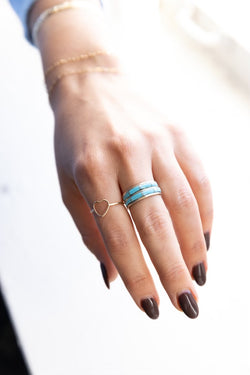 Double Horizon Ring