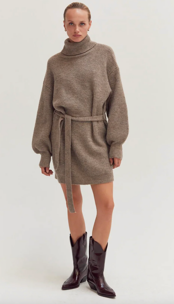 Audrina Turtleneck Sweater Dress