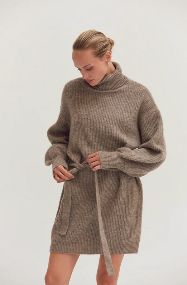 Audrina Turtleneck Sweater Dress