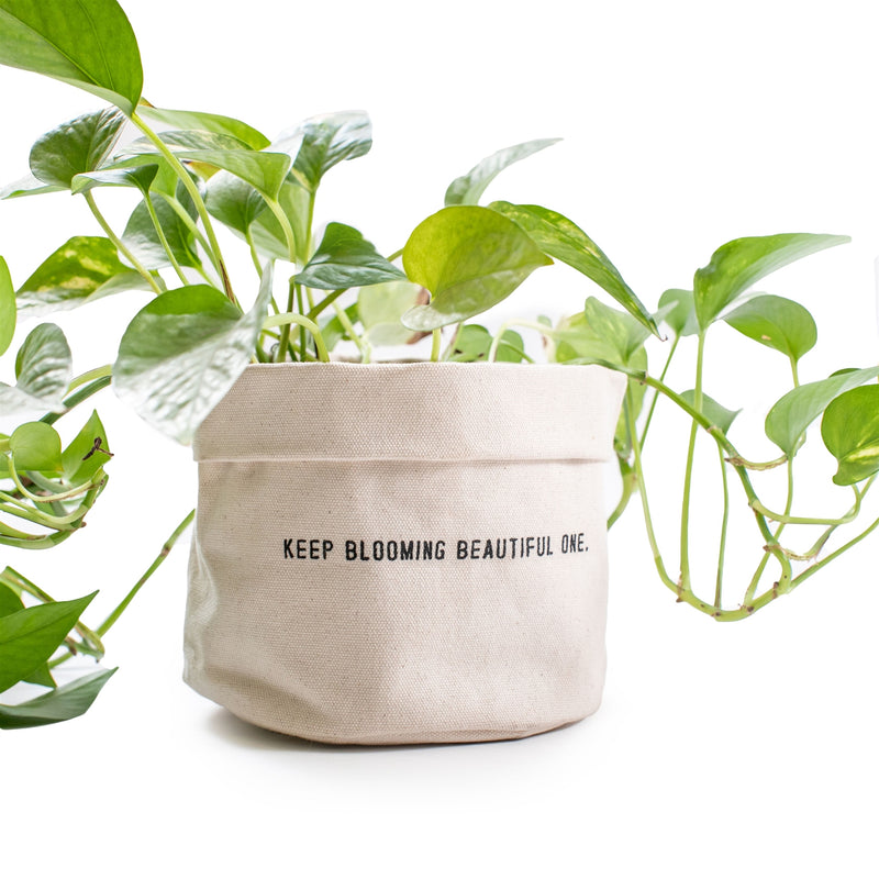 Keep Blooming Canvas Large Planter